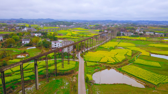 衡阳萱洲古镇油菜花