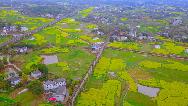 衡阳萱洲古镇油菜花