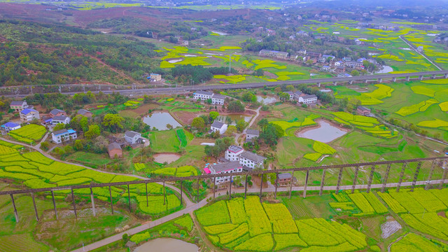 衡阳萱洲古镇油菜花