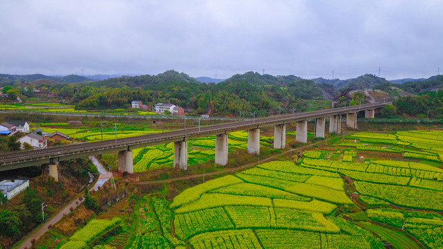 衡阳萱洲古镇油菜花