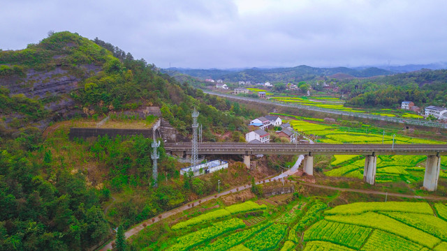 衡阳萱洲古镇油菜花