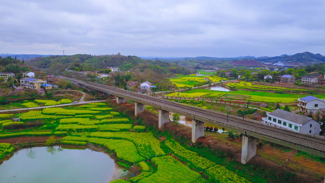 衡阳萱洲古镇油菜花