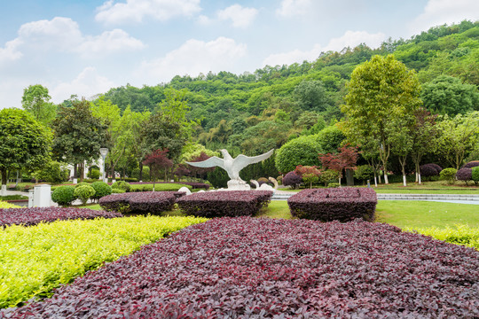 重庆园博园植物景观