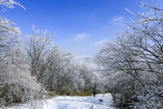 龙王山雪景