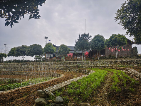 农家菜园