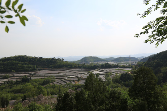 烟田风光