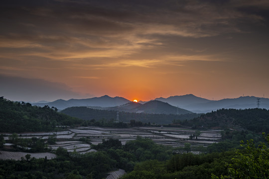 美丽田野