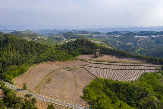 农田风景