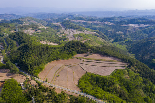 农田风景