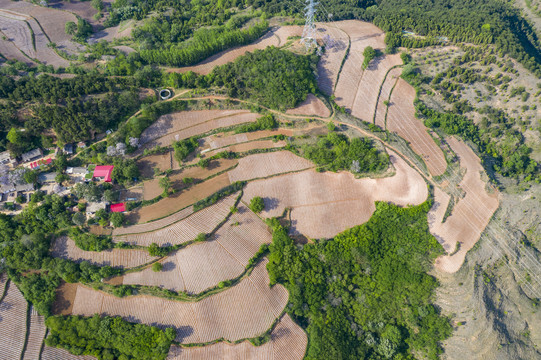 农田风景