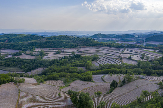 田野风光