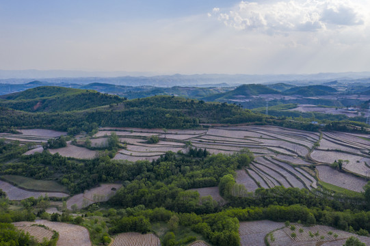 田野风光