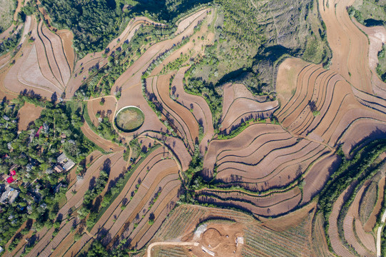 烟田风景