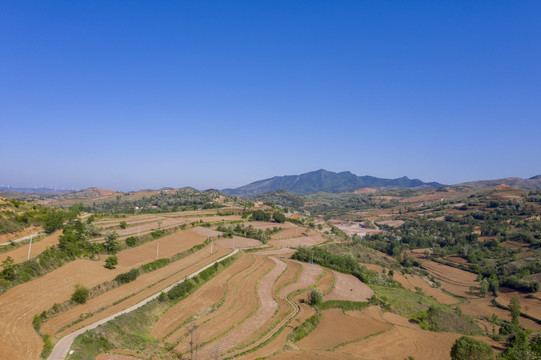 田野