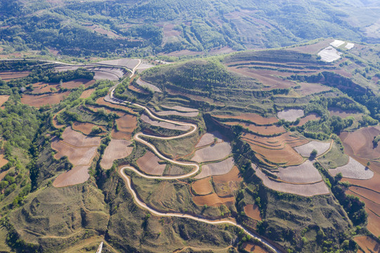 山区烟田