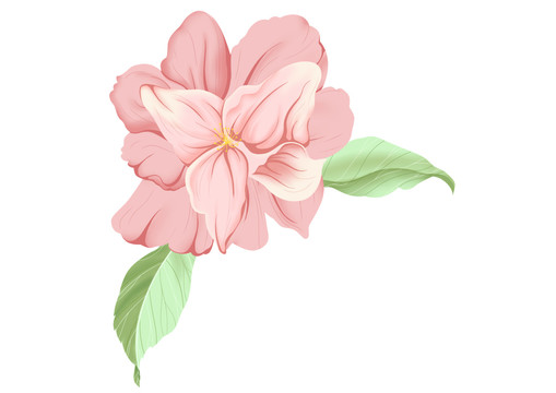 小清新粉色質感花卉
