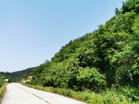 盘山公路