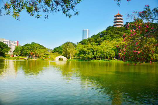 龙山公园湖景