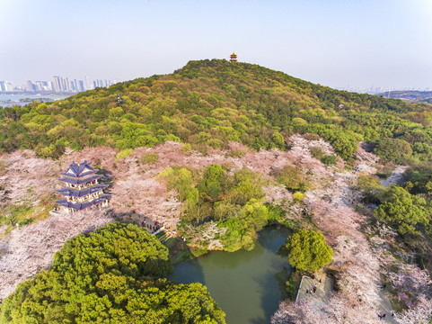 航拍太湖鼋头渚风景区