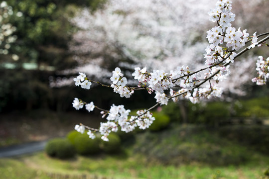 太湖鼋头渚风景区