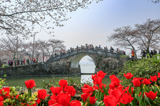 太湖鼋头渚风景区