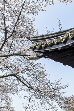 太湖鼋头渚风景区