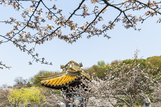 太湖鼋头渚风景区