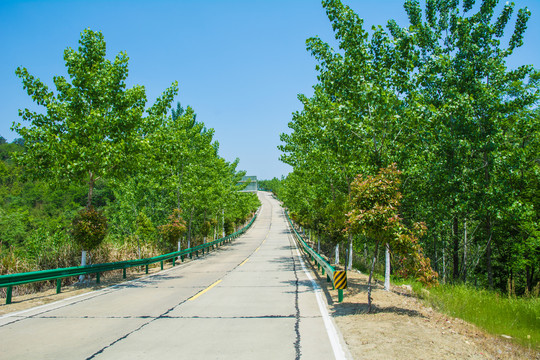 大别山区山路