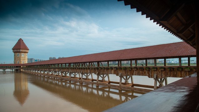 南昌九龙湖湿地公园风光