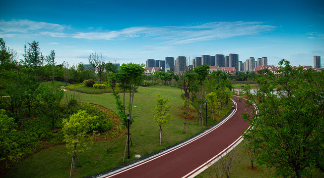 南昌九龙湖湿地公园风光