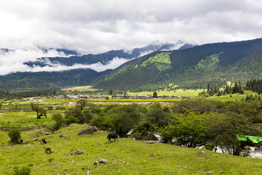 山川河流