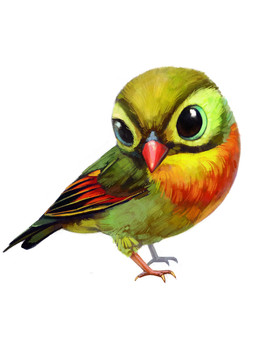 紅嘴相思鳥