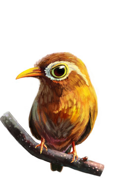 畫(huà)眉鳥(niǎo)