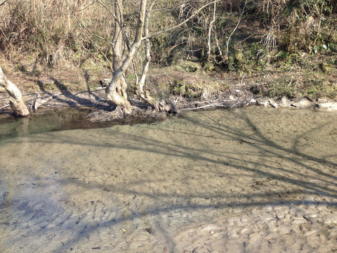 淡溪镇风景区