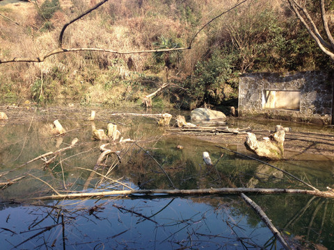 淡溪镇风景区