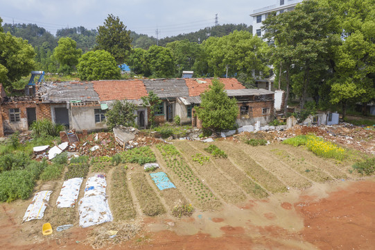 老屋废墟