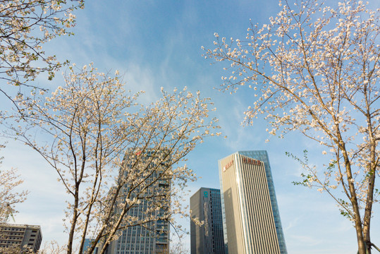 台州市椒江区CBD商务中心