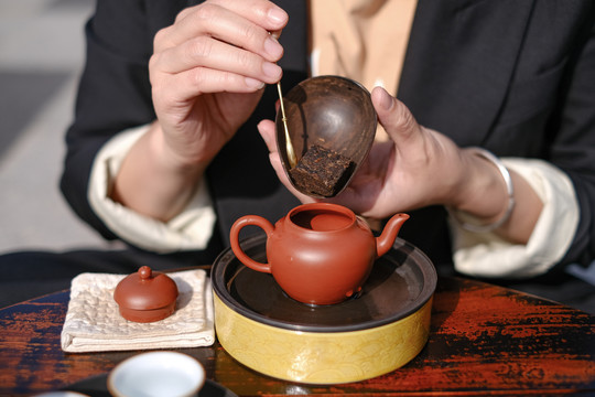 茶艺师泡茶