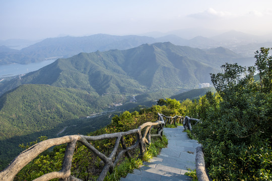 深圳市梧桐山小道