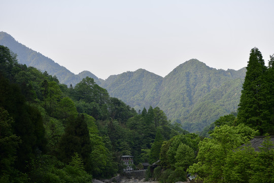 青城后山