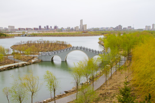 嫩江湾湿地