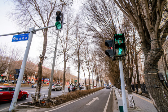 乌鲁木齐街道绿化