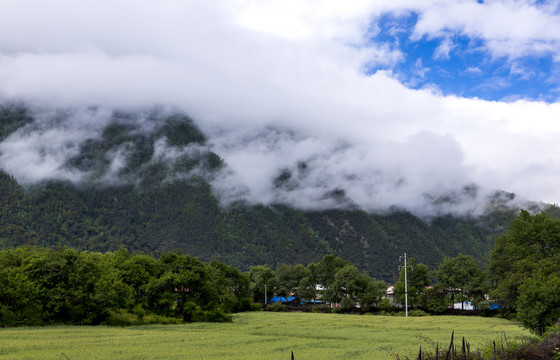 高原风光