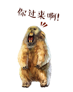 土撥鼠