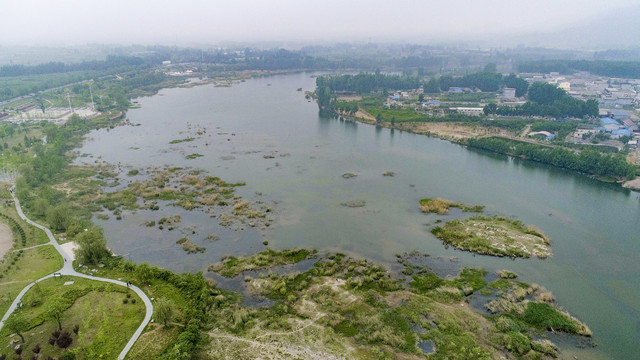 湿地公园风景