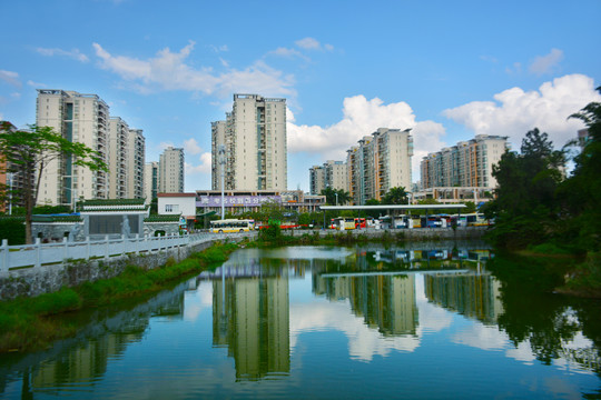 丰乐公园湖景