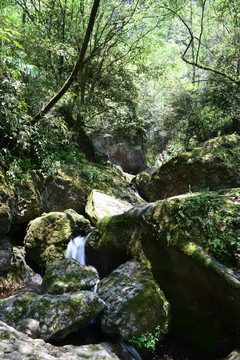 青城后山