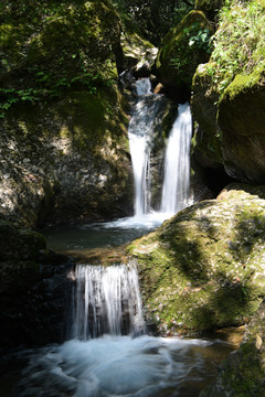 青城山风光