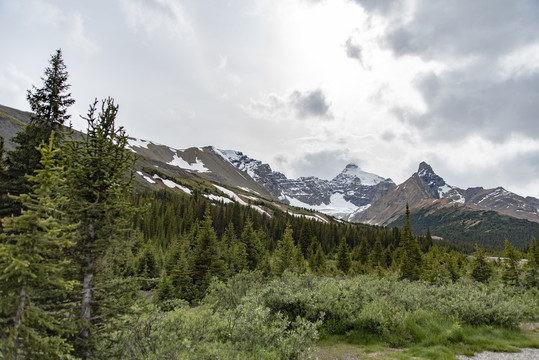 山景