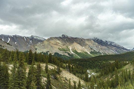 山景